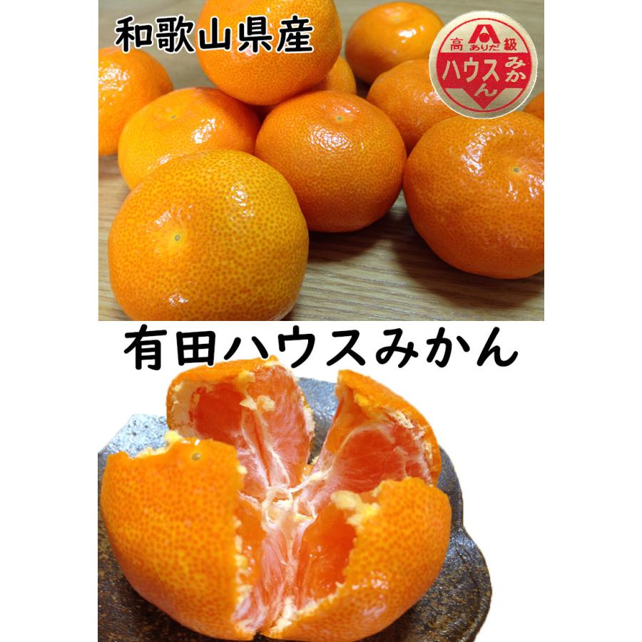 みかん 有田 ハウスみかん 送料無料 和歌山県 有田みかん ハウスみかん 秀 Mサイズ 5kg 送料無料 父の日 ギフト お中元 :citrus010-h03:大和屋 旬果庵 - 通販 - Yahoo!ショッピング みかん 有田 ハウスみかん 送料無料 和歌山県 有田みかん ハウスみかん 秀 Mサイズ 5kg 送料無料 父の日 ギフト お中元 :citrus010-h03:大和屋 旬果庵 - 通販 - Yahoo!ショッピング