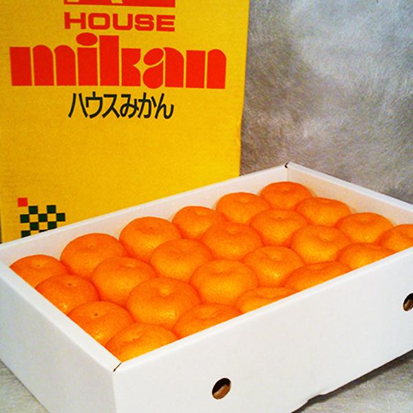 お中元 人気 みかん 有田 ハウスみかん 送料無料 和歌山県 有田