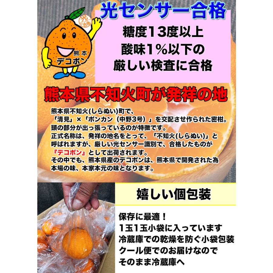メーカー在庫限り品 デコポン みかん 5kg 送料無料 本家 熊本県産 完熟 ギフト 光糖度センサー検査済 糖度保証 クール便配送 Aynaelda Com