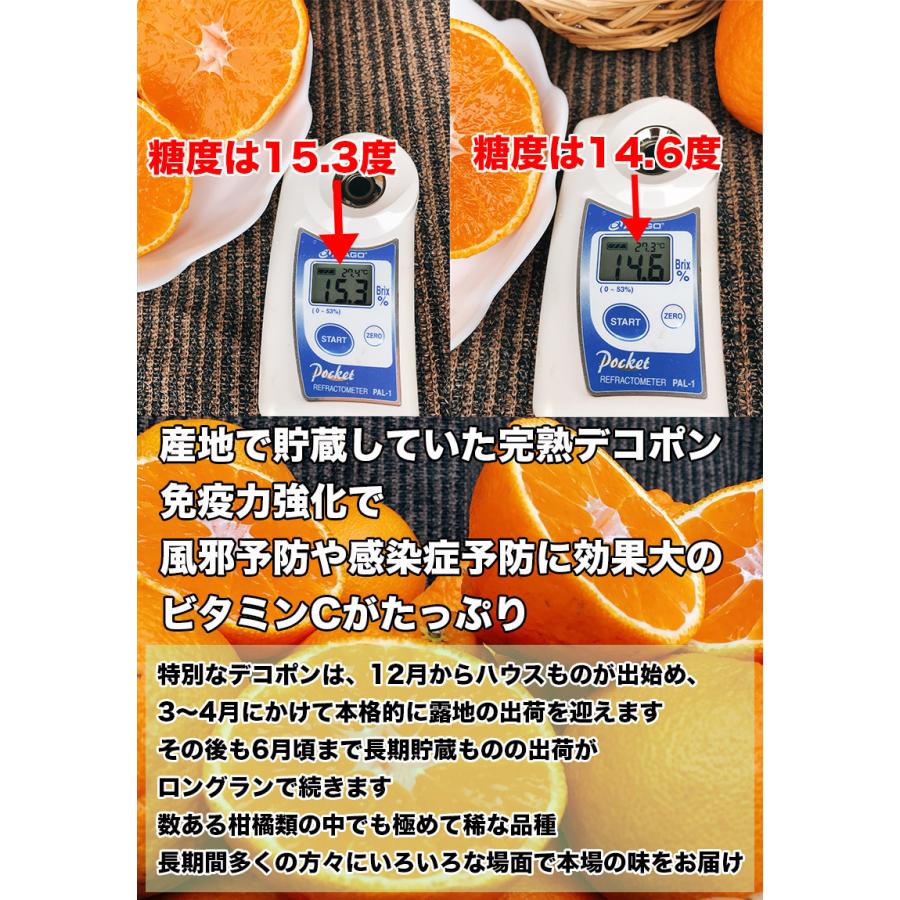 メーカー在庫限り品 デコポン みかん 5kg 送料無料 本家 熊本県産 完熟 ギフト 光糖度センサー検査済 糖度保証 クール便配送 Aynaelda Com