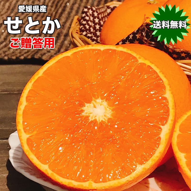高級柑橘 せとか みかん 送料無料 柑橘の大トロ 愛媛県 秀品 Lサイズ