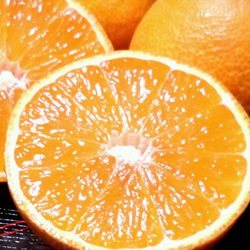 紅マドンナ 送料無料 愛媛県 紅まどんな 5kg 2Lサイズ ご家庭用 小キズ