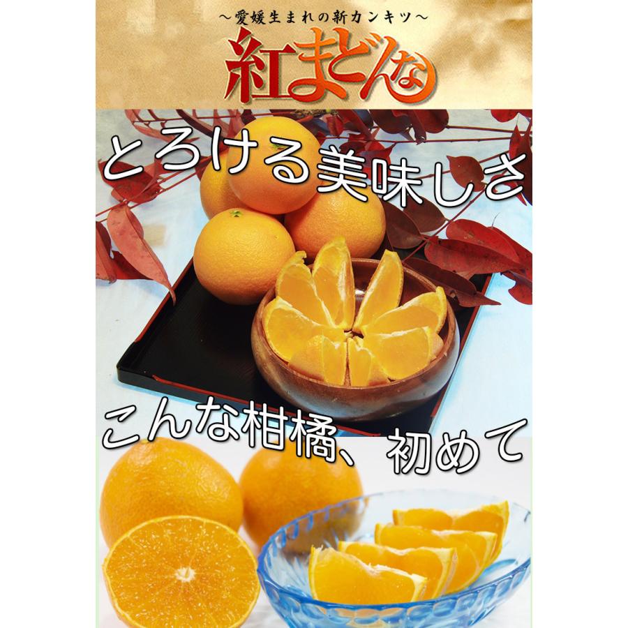 紅マドンナ 紅まどんな 送料無料 愛媛県 紅まどんな 秀品 3kg 8-10個