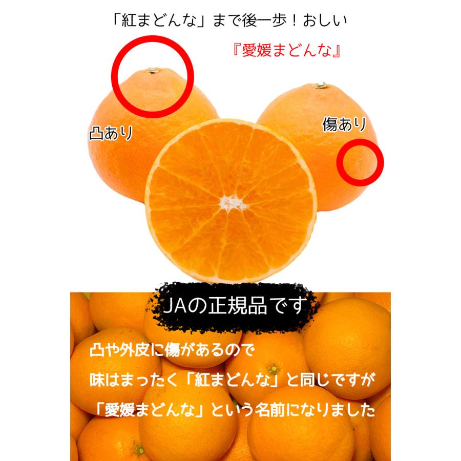 紅まどんな あいか 送料無料 愛媛県 愛媛まどんな 2Lサイズ 5kg 紅まどんな あいか 送料無料 愛媛県 愛媛まどんな 2Lサイズ 5kg