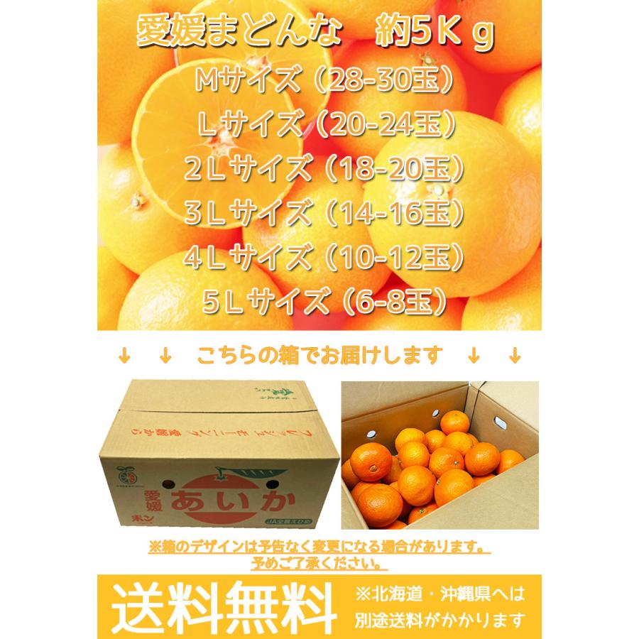 紅まどんな あいか 送料無料 愛媛県 愛媛まどんな 2Lサイズ 5kg 紅まどんな あいか 送料無料 愛媛県 愛媛まどんな 2Lサイズ 5kg