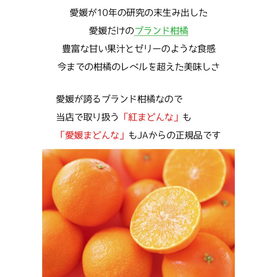 愛媛マドンナ あいか 送料無料 愛媛県 愛媛まどんな 2Lサイズ 2.5kg JAの正規品 ご家庭用 バラ詰 お試 お歳暮 ギフト【予約 12月上旬頃から】 :citrus120-072l:大和屋 旬果庵 - 通販 - Yahoo!ショッピング 愛媛マドンナ あいか 送料無料 愛媛県 愛媛まどんな 2Lサイズ 2.5kg JAの正規品 ご家庭用 バラ詰 お試 お歳暮 ギフト【予約 12月上旬頃から】 :citrus120-072l:大和屋 旬果庵 - 通販 - Yahoo!ショッピング