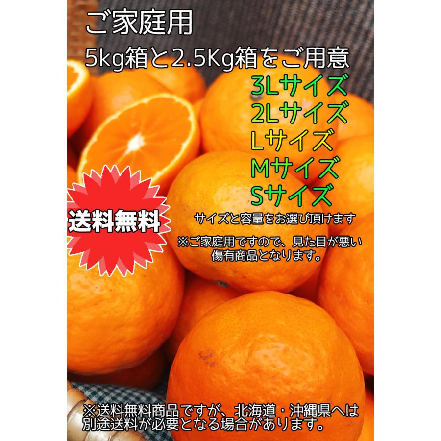 みかん なつみ 送料無料 愛媛県 なつみ 秀品 Lサイズ 24玉 みかん ギフト 夏に食べるみかん｜daiwaya-syunkaan｜09