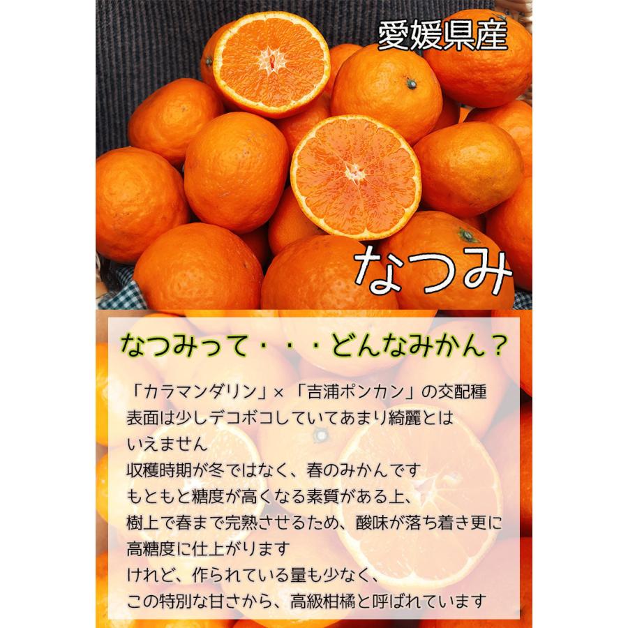 みかん なつみ 送料無料 愛媛県 なつみ 秀品 3Lサイズ 2.5kg みかん ギフト 夏に食べるみかん｜daiwaya-syunkaan｜02