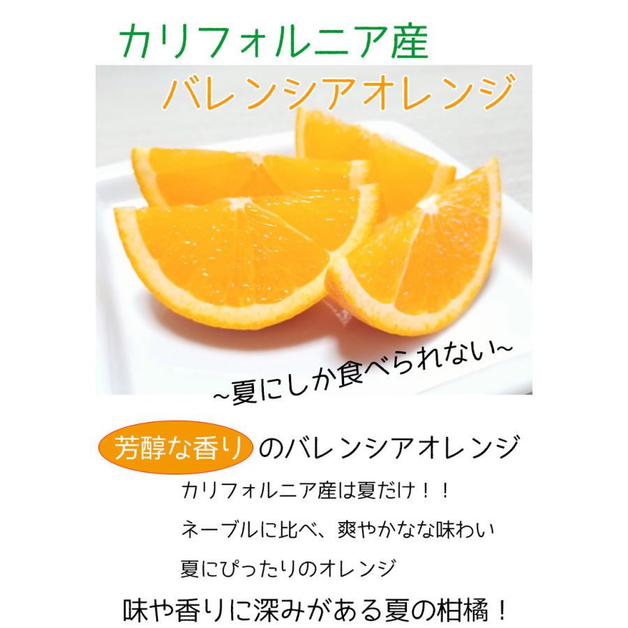 オレンジ バレンシア 送料無料 カリフォルニア産 バレンシア オレンジ 糖度保証 18kg 88玉 クール便でお届け  :citrus220-555a01278:大和屋 旬果庵 通販 