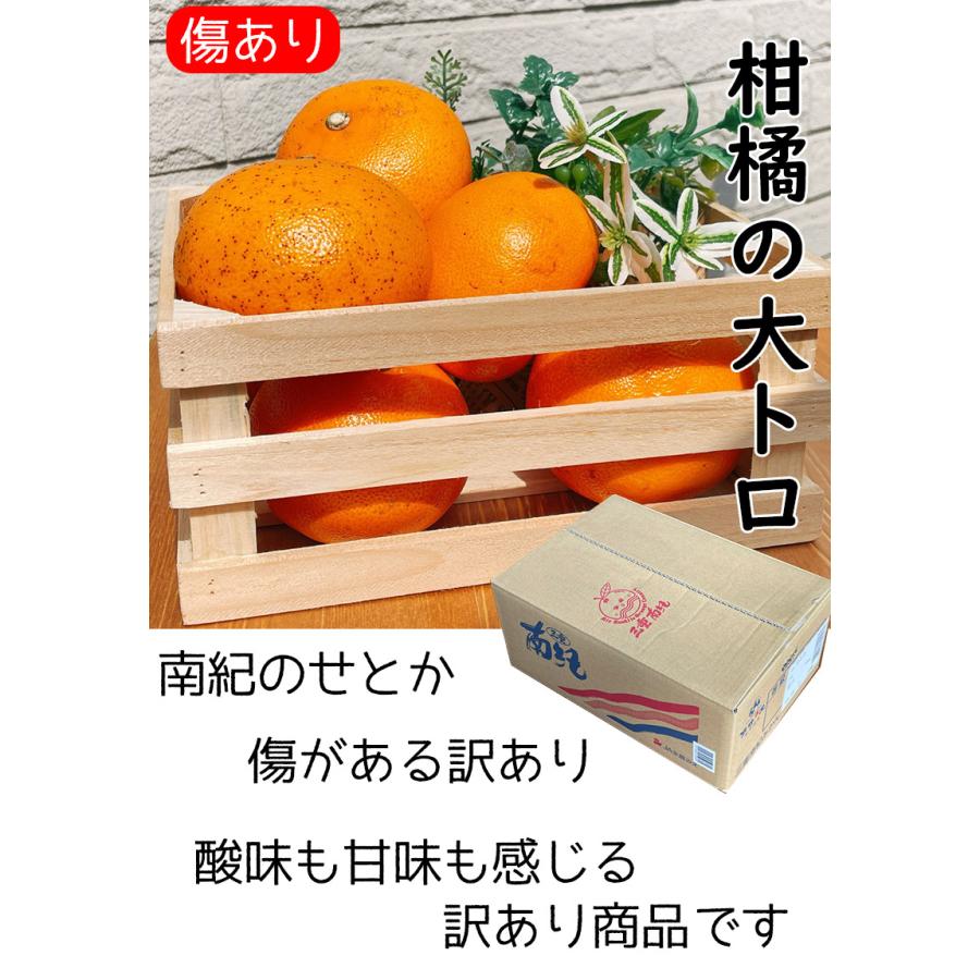 せとか 訳あり みかん 2.5kg箱 送料無料 柑橘の大トロ 南紀のせ せとか 訳あり みかん 2.5kg箱 送料無料 柑橘の大トロ 南紀のせ