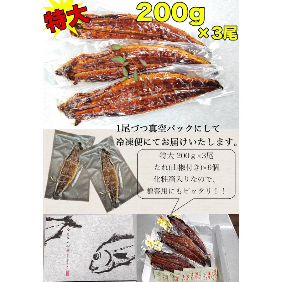 ギフト うなぎ まんてんや 国産 鹿児島 うなぎ蒲焼き 父の日 送料無料
