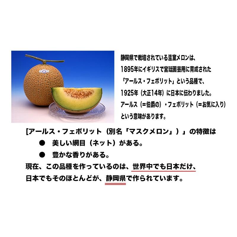 お歳暮 メロン 静岡 マスクメロン クラウンメロン 静岡県 クラウン メロン １個入り 約1.2kg 高級ブランド  白クラス プレゼント ギフト｜daiwaya-syunkaan｜04