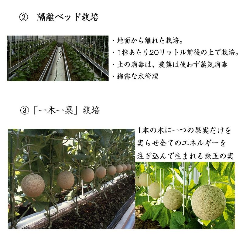 お歳暮 メロン 静岡 マスクメロン クラウンメロン 静岡県 クラウン メロン １個入り 約1.2kg 高級ブランド  白クラス プレゼント ギフト｜daiwaya-syunkaan｜07