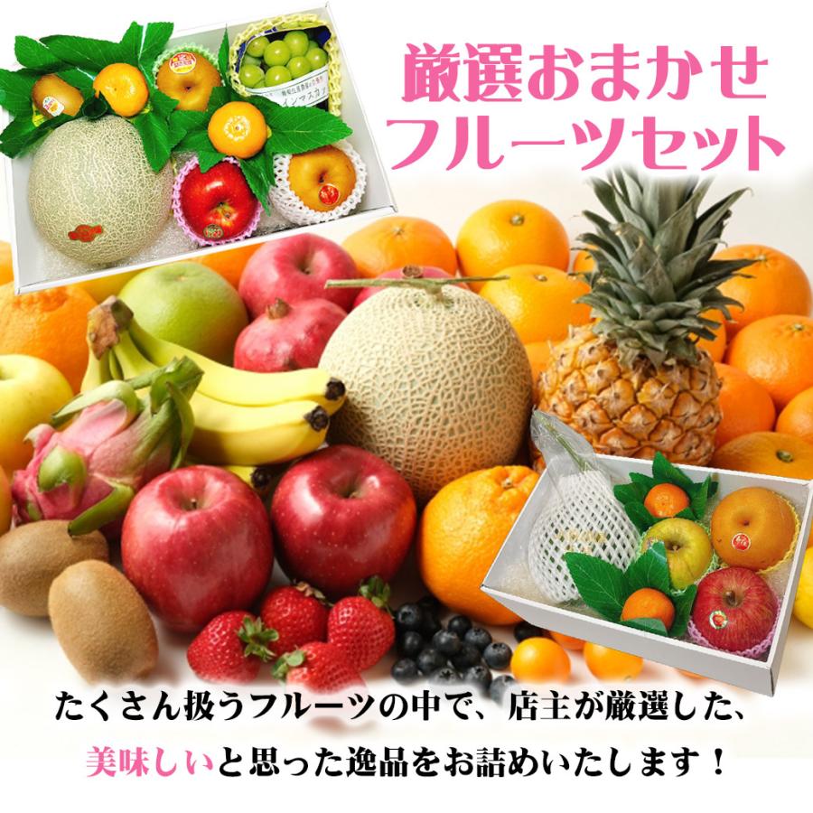 フルーツセット　ご家庭用　おまかせたっぷりセット フルーツギフト フルーツ詰め合わせ ギフト プレゼント 店長いちおし