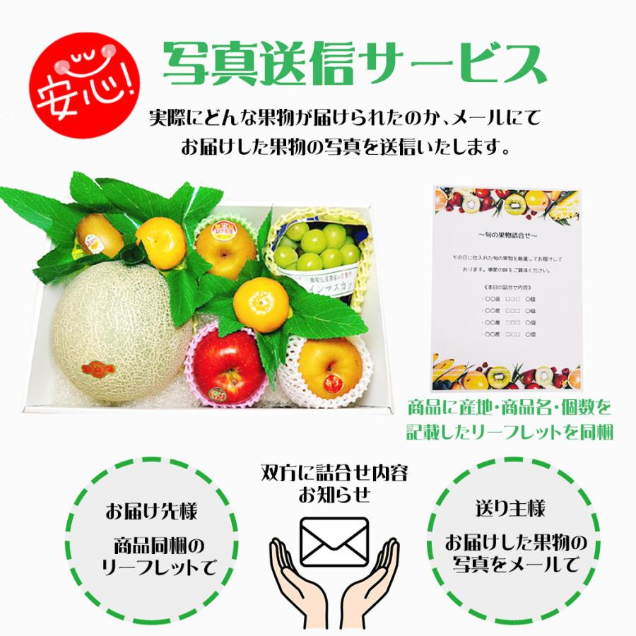 フルーツギフト フルーツ詰め合わせ ギフト プレゼント 店長いちおし