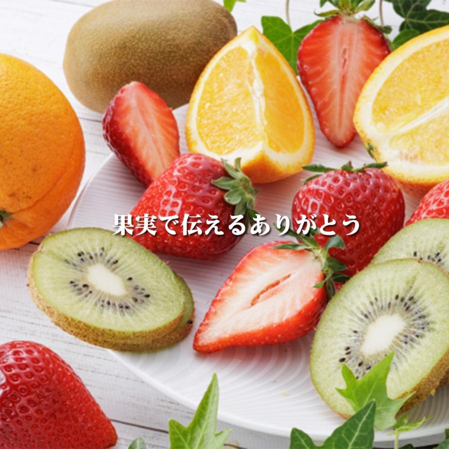 フルーツギフト フルーツ詰め合わせ ギフト プレゼント 店長いちおし