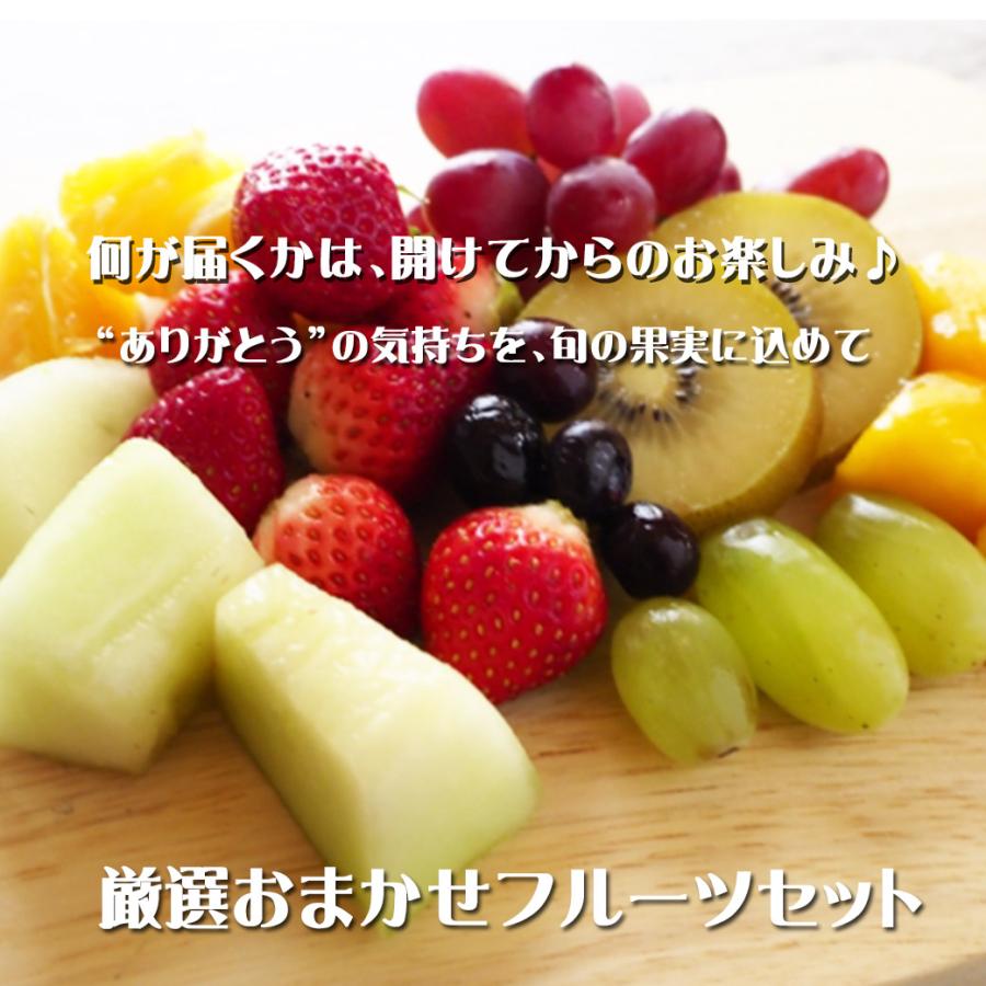 フルーツギフト フルーツ詰め合わせ ギフト プレゼント 店長いちおし