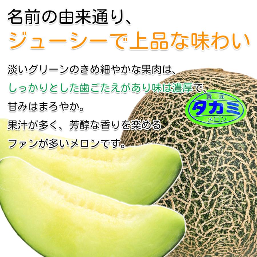 メロン 贈答用 1玉入 送料無料 お中元 茨城県 愛知県 タカミ