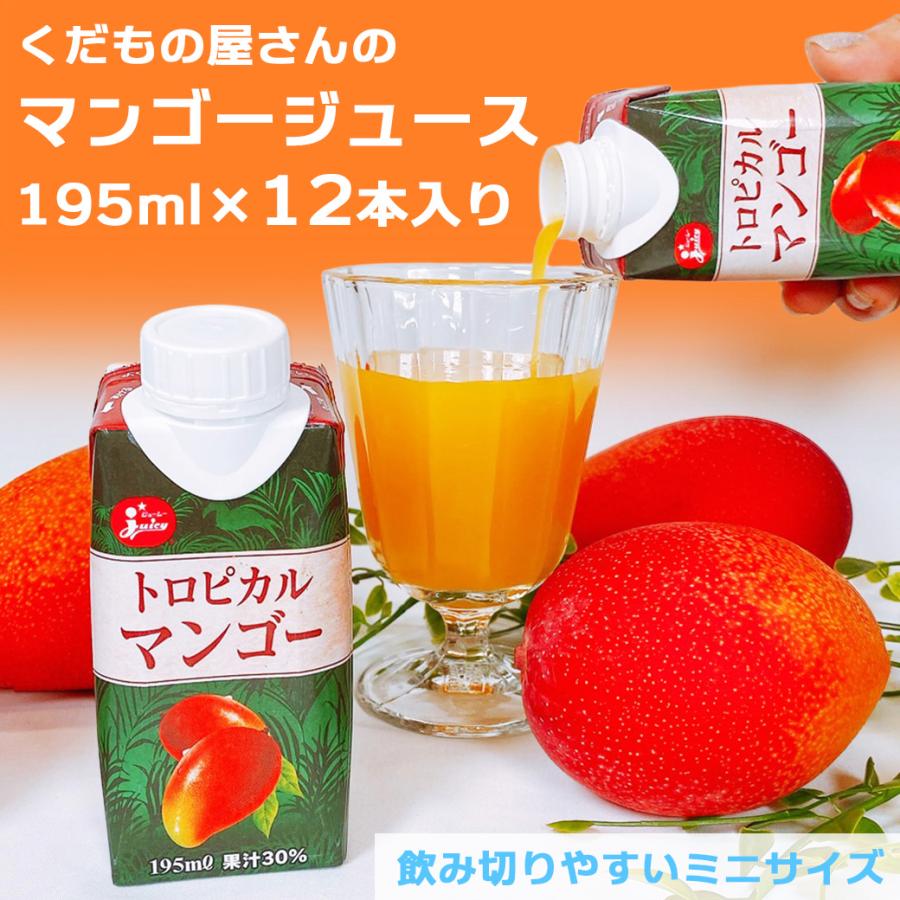 ジューシー JA熊本果実連 トロピカル マンゴー ジュース ミニサイズ 1
