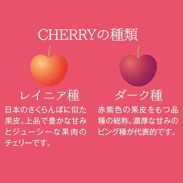 レーニアチェリー4k Amazon.co.jp: 7/6終了！ オービル農園 アメリカン チェリー 1kg
