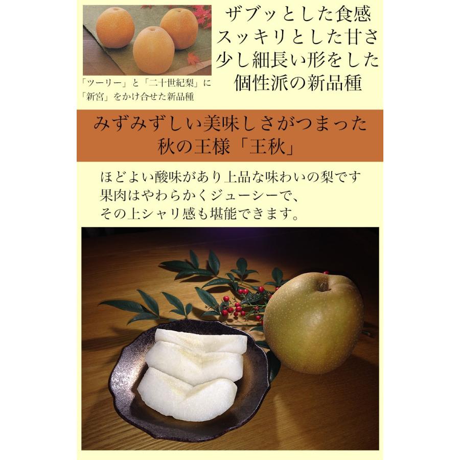 梨 なし ナシ 王秋 5Kg箱 秀品 贈答用 お歳暮 ギフト プレゼント 鳥取