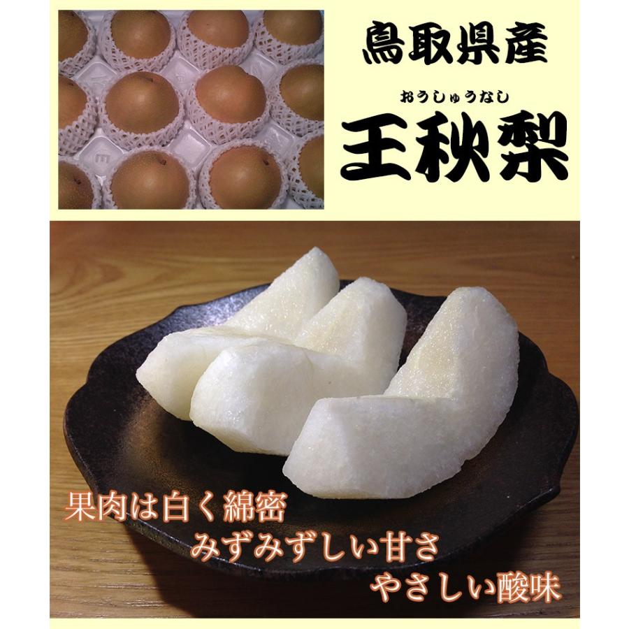 梨 なし ナシ 王秋 訳あり 5kg箱 鳥取県産 王秋梨 約5Kg ご家庭用 爆買