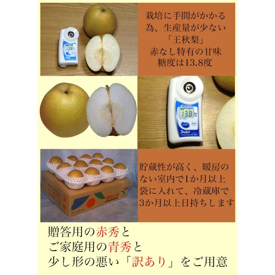 梨 なし ナシ 王秋 訳あり 5kg箱 鳥取県産 王秋梨 約5Kg ご家庭用 爆買