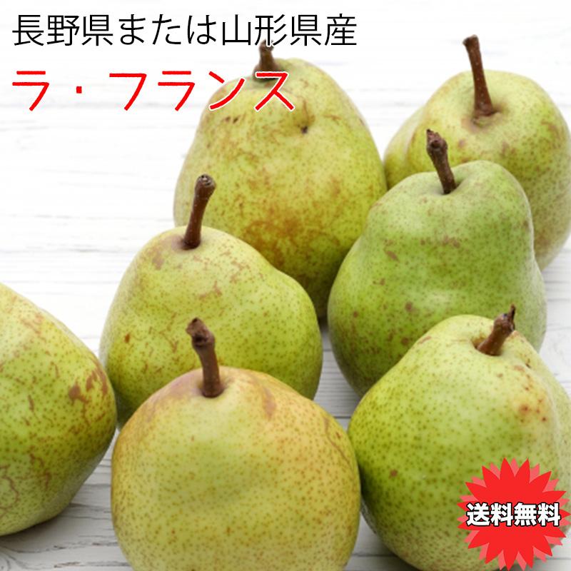 予約販売 洋ナシ 5kg 訳あり ラ フランス 山梨県 ラ フランス 5kg 12 個入 ご家庭用 果実の女王 梨 洋梨 送料無料 お試し 10月下旬頃発送 Pear080 502 大和屋 旬果庵 通販 Yahoo ショッピング