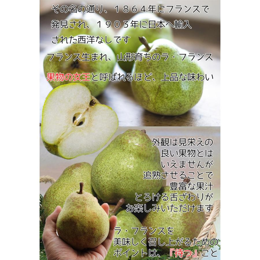 洋ナシ 5kg 訳あり ラ フランス 山梨県 ラ フランス 5kg 12 個入 ご家庭用 果実の女王 梨 洋梨 送料無料 お試し 予約 10月下旬頃から Pear080 502 大和屋 旬果庵 通販 Yahoo ショッピング