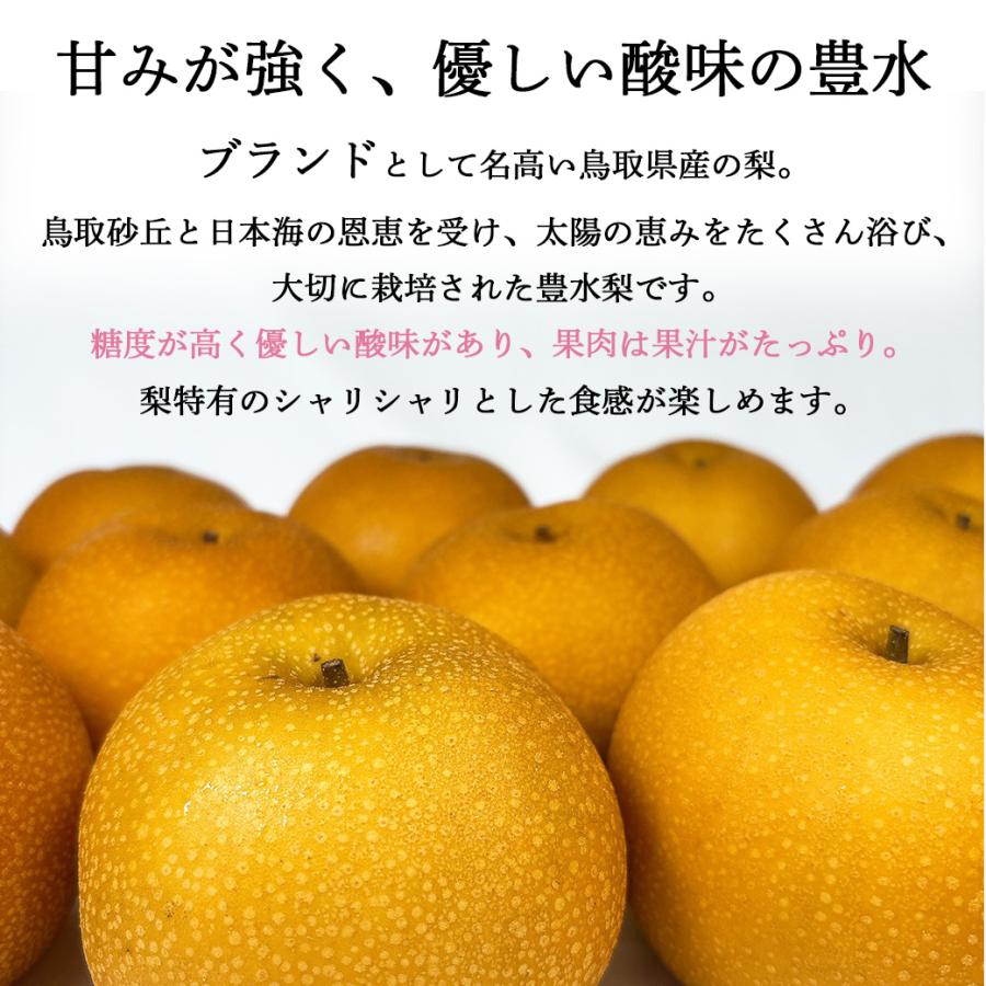 梨 なし 訳あり ご家庭用 訳あり梨 5kg 送料無料 鳥取県産 豊水 5kg