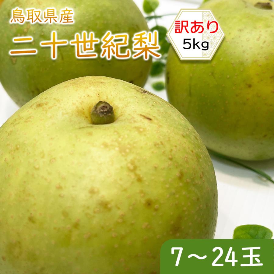 【訳あり】二十世紀梨　鳥取県産　5キロ 二十世紀梨 訳あり 梨 鳥取県産 20世紀梨 5kg 7〜24玉入 送料無料 ご