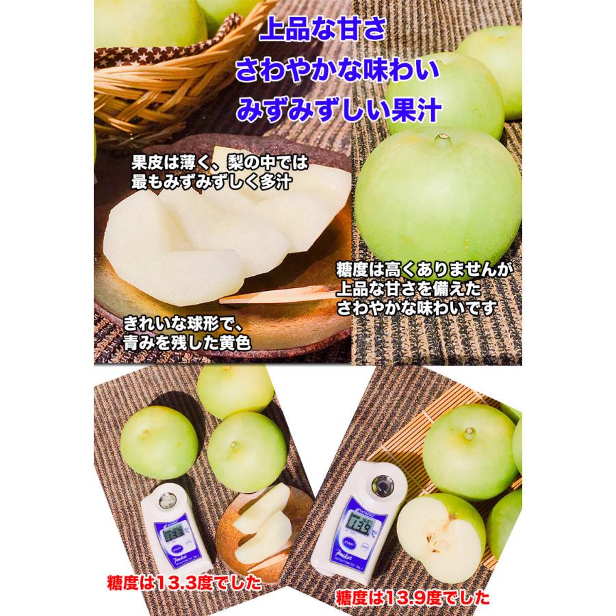 鳥取県産 りんご Www Vladahbz Com