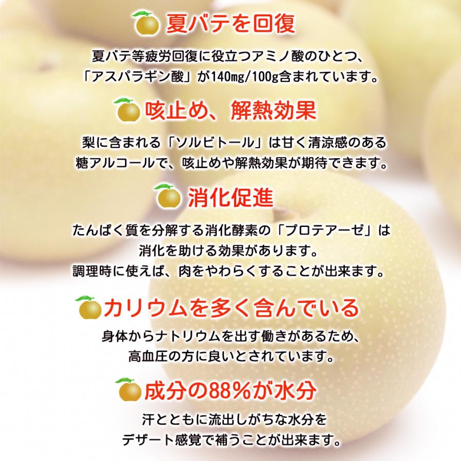 鳥取県産　新甘泉　10～18玉　約5キロ　秀品　 ※クール便発送 楽天市場】鳥取県産 梨 新甘泉 （しんかんせん） 秀品 5kg 10