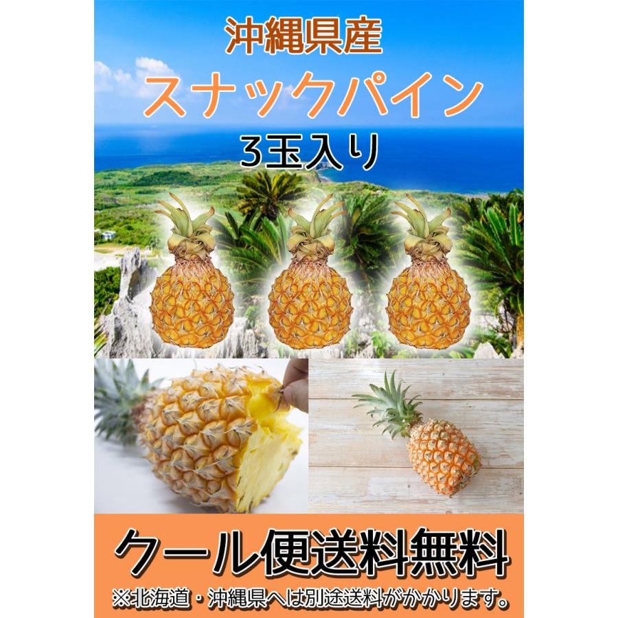 パイナップル パイン スナックパイン 島パイン 沖縄県産スナック