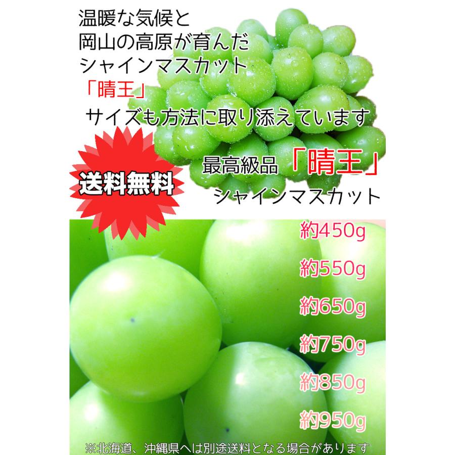 ぶどう シャインマスカット 晴王 送料無料 岡山県産 シャイン