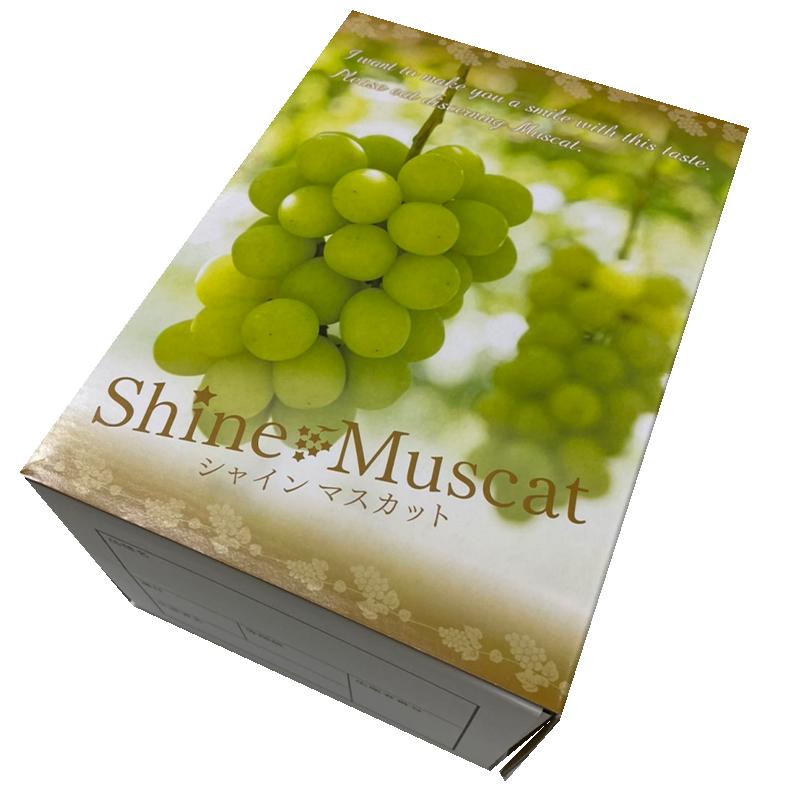 ぶどう シャインマスカット 山梨県産 シャインマスカット 2房入 700g 希少品種 ギフト 敬老の日 マスカット クール便 送料無料 8月下旬頃より｜daiwaya-syunkaan｜10