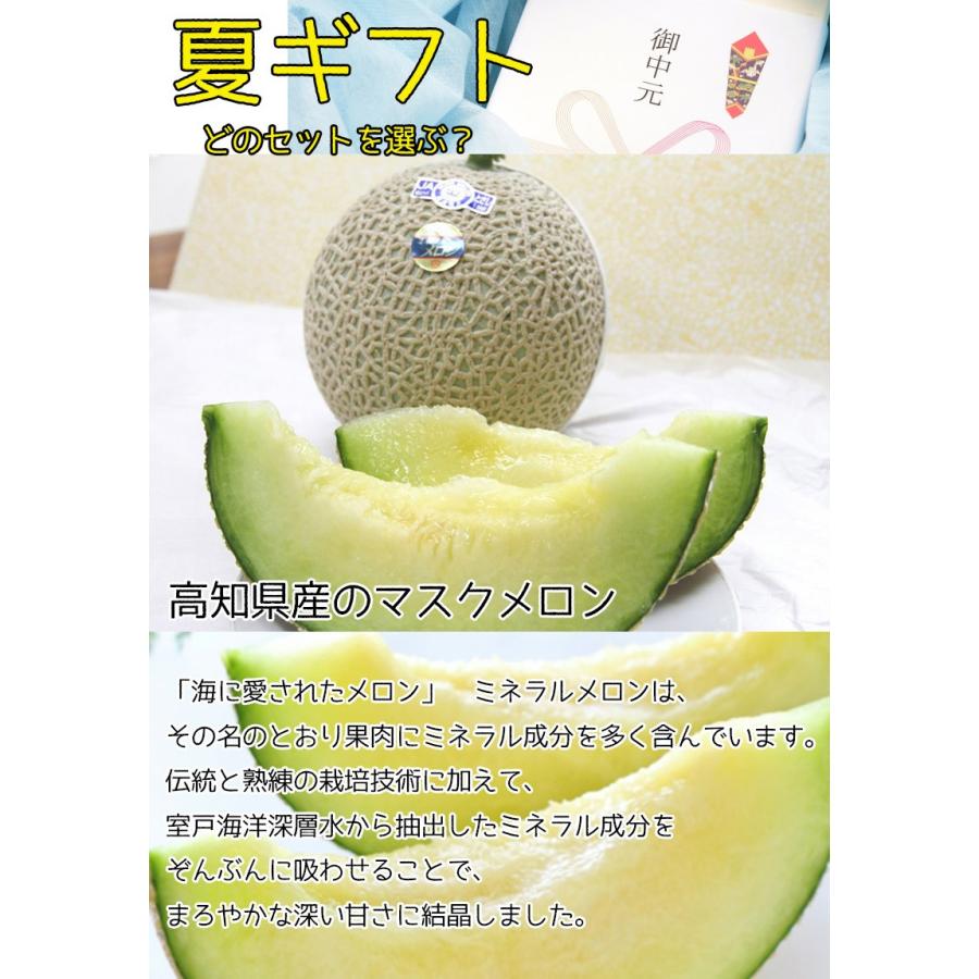 お中元 フルーツギフト 高知県産 アールス メロン 福岡県産 花綴り 巨峰 セットふどう メロン セット ギフト お中元 クール便 送料無料 ブドウ きょほう Sumgif50 B 大和屋 旬果庵 通販 Yahoo ショッピング