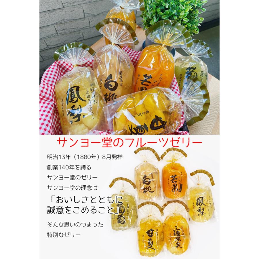 サンヨー堂 果実ゼリー パイナップル 三種果実 マンゴー　国産果実　贈答用ゼリー サンヨー堂 果実ゼリー パイナップル 三種果実 マンゴー 国産果実 贈答