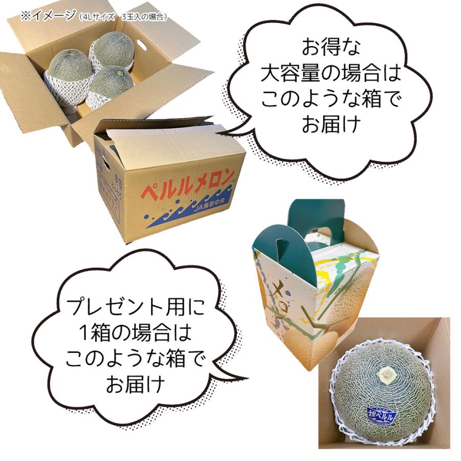メロンさま専用 高級マスクメロン（千葉アクアメロン）2玉 | 千葉県一宮町 | JRE