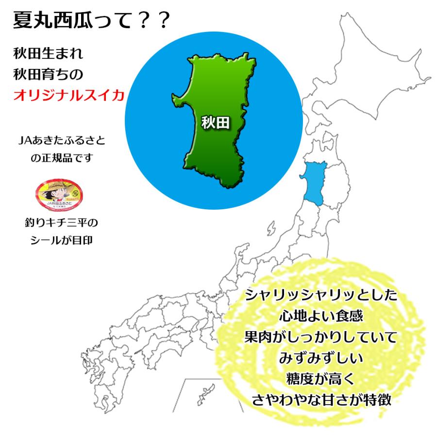 すいか スイカ 秋田県産 夏丸 西瓜 秀クラス 5Lサイズ 10kg 常温