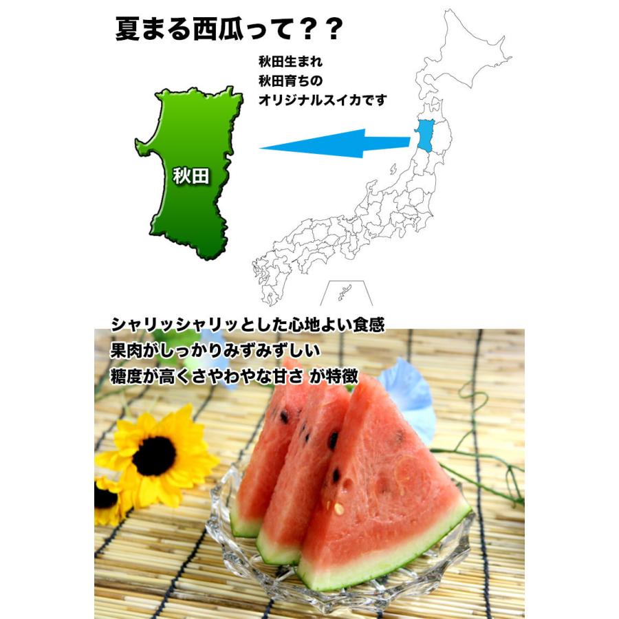 すいか スイカ 訳あり 秋田県産 夏丸 西瓜 12Kg以上 常温便 送料無料 お試し あきた夏丸 大玉 西瓜 ギフト お中元 クール便送料必要 8月上旬頃から｜daiwaya-syunkaan｜03