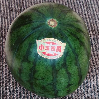 鳥取県産 大栄 小玉西瓜 3lサイズ 3玉入 送料無料 鳥取県 西瓜 大栄 すいか 小玉西瓜 ギフト Wm010 大和屋 旬果庵 通販 Yahoo ショッピング
