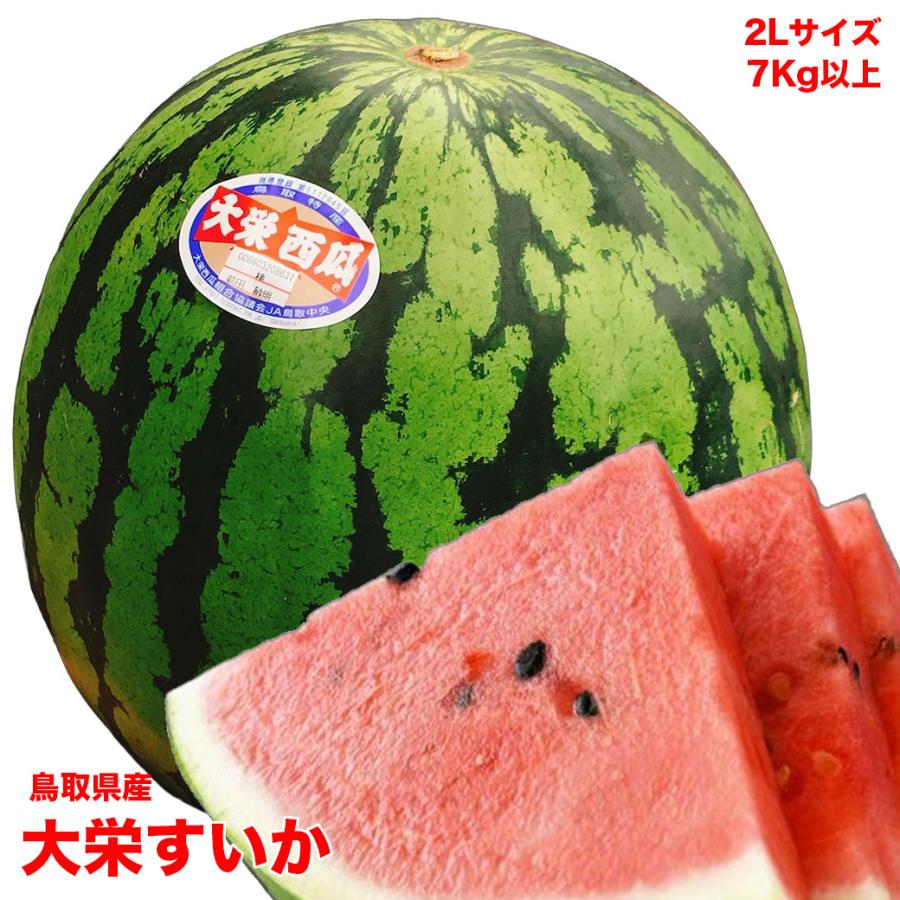 大量入荷につき特別セール中!!】 すいか スイカ 贈答用 お中元 人気