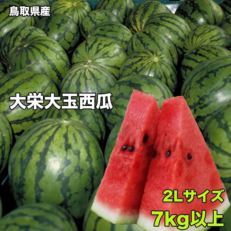 すいか スイカ 訳あり 鳥取県産 大栄西瓜 2Lサイズ 7kg以上 ご家庭用 送料無料 大栄 すいか 大玉 西瓜 ギフト 父の日｜daiwaya-syunkaan