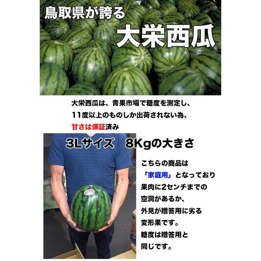 すいか　7㎏ square_スイカ_倉吉すいか_3L