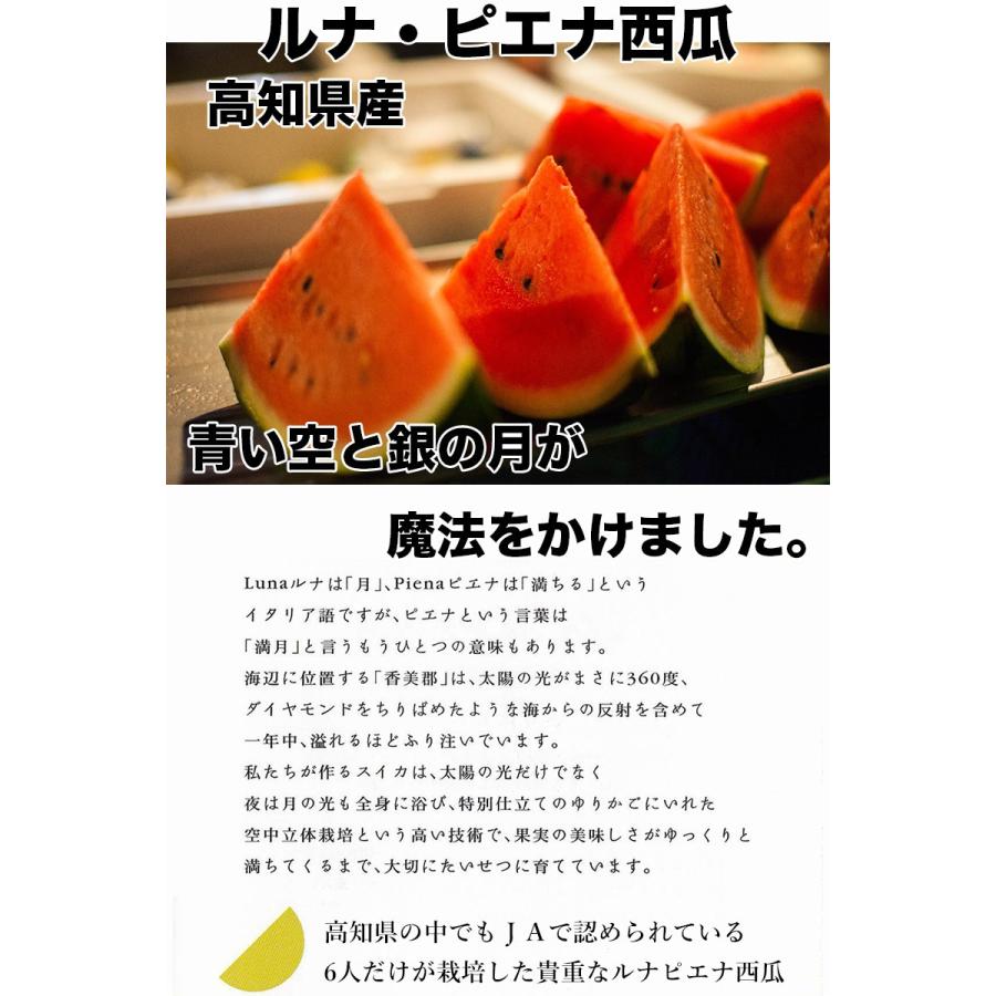 スイカ 西瓜 すいか 小玉すいか お歳暮 ギフト 送料無料 高知県産