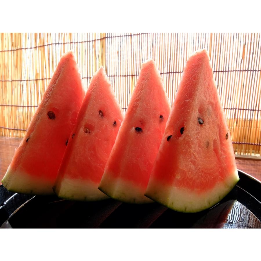 スイカ 西瓜 すいか 小玉すいか お歳暮 ギフト 送料無料 高知県産