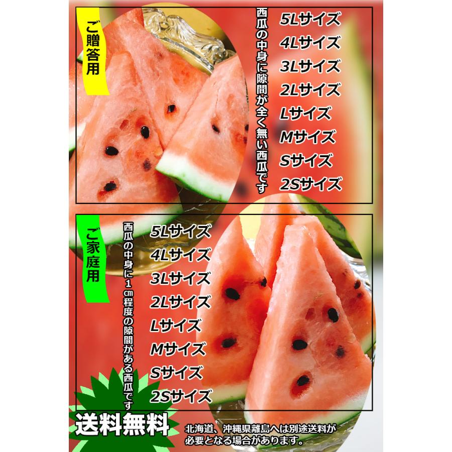 西瓜 すいか スイカ 熊本県産 夢大地 西瓜 秀 Mサイズ 約5Kg以上 ご贈答用 送料無料｜daiwaya-syunkaan｜05