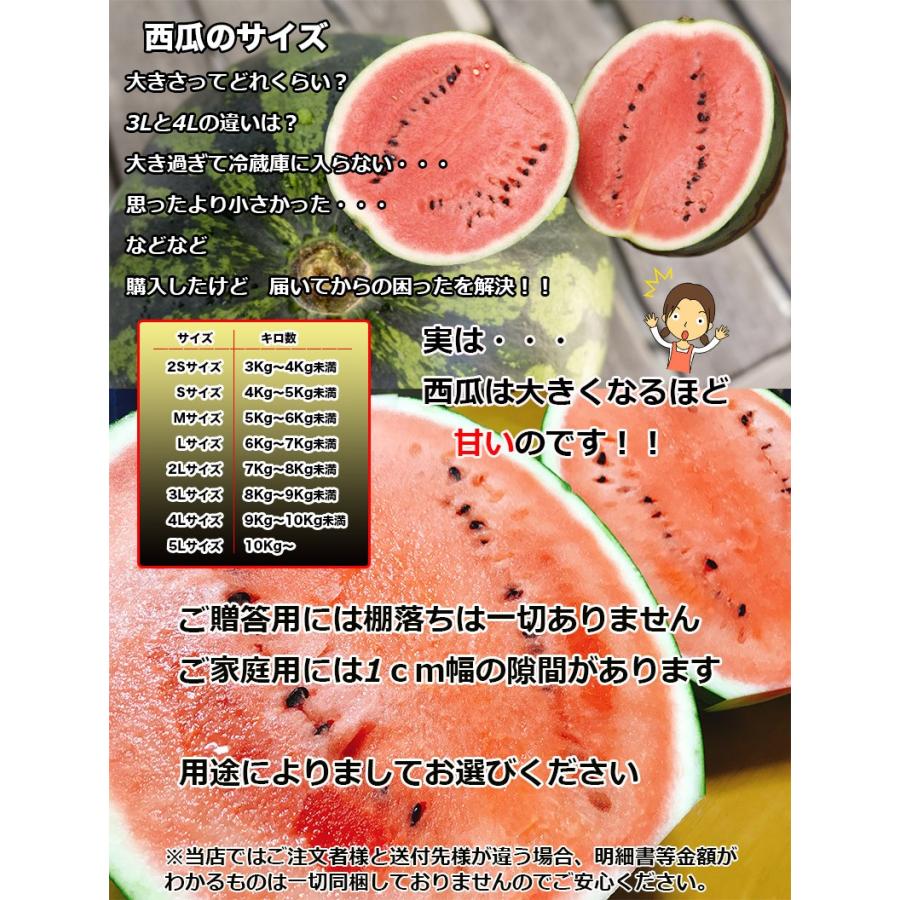 西瓜 すいか スイカ 熊本県産 夢大地 秀 2Lサイズ 約7kg以上 ご 西瓜 すいか スイカ 熊本県産 夢大地 秀 2Lサイズ 約7kg以上 ご