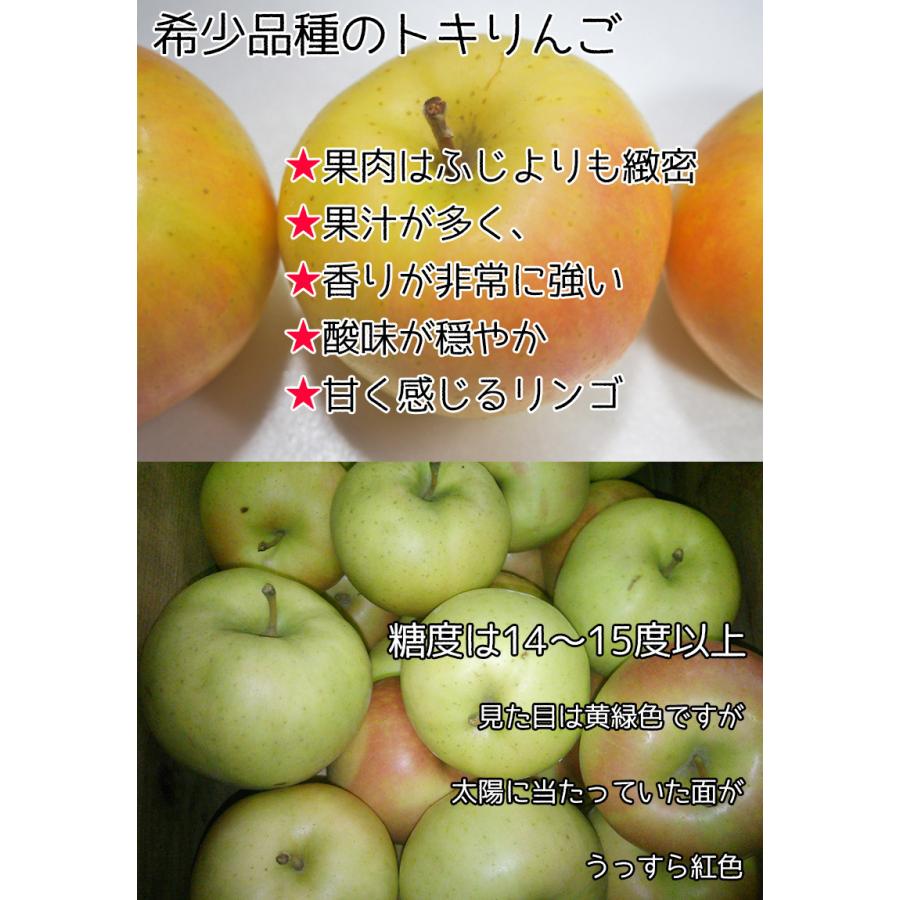 りんご とき 約10kg 訳あり家庭用 8 糖度13度以上保証